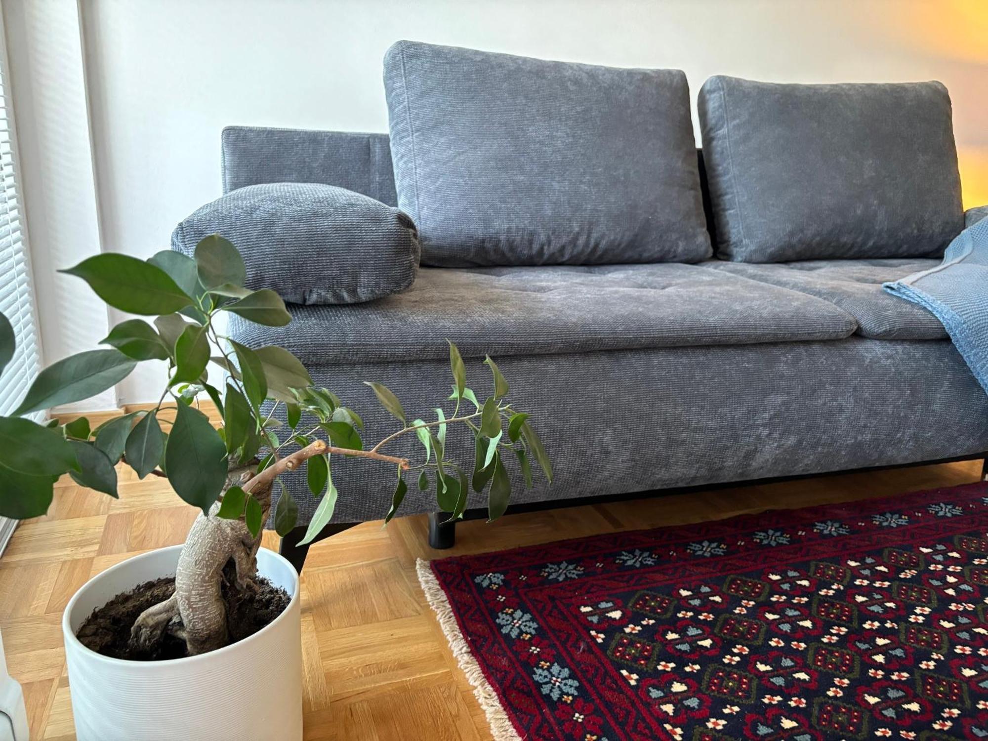 Ljubljanica Apartment Lublana Zewnętrze zdjęcie